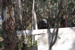 Cyprus-paintball-35