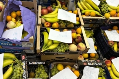 Day-tomorrow-at-our-Primary-School-4