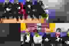 406505959_874908177971719_4298668761434185032_n