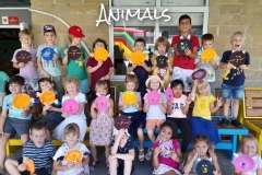 different-animal-types-9