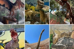 Dinosaurs-Park-and-Kingdom-of-Dragons-1
