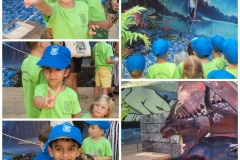 Dinosaurs-Park-and-Kingdom-of-Dragons-14