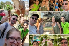 Dinosaurs-Park-and-Kingdom-of-Dragons-19