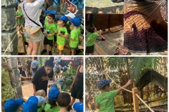 Dinosaurs-Park-and-Kingdom-of-Dragons-20