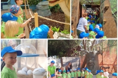 Dinosaurs-Park-and-Kingdom-of-Dragons-24