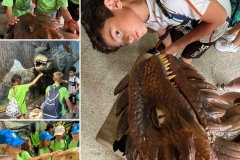 Dinosaurs-Park-and-Kingdom-of-Dragons-27