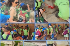 Dinosaurs-Park-and-Kingdom-of-Dragons-29