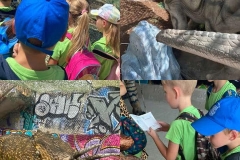 Dinosaurs-Park-and-Kingdom-of-Dragons-31