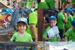 Dinosaurs-Park-and-Kingdom-of-Dragons-32