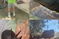 Dinosaurs-Park-and-Kingdom-of-Dragons-8