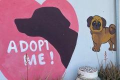 337040457_964117188293063_3555612411082614488_n