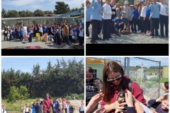 337145721_223167126927406_7122039835212037276_n