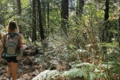 Duke-of-Edinburghs-International-Award-12