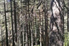 Duke-of-Edinburghs-International-Award-13