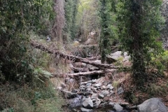 Duke-of-Edinburghs-International-Award-17