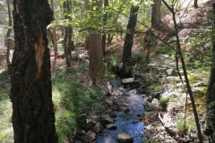 Duke-of-Edinburghs-International-Award-8