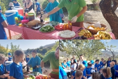 401745473_861859905943213_4811197555136263037_n