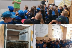 401748134_861860132609857_6944133864301806332_n