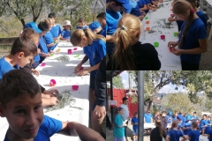 401776561_861861155943088_1543998328183643754_n