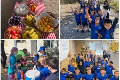 401847326_861860055943198_7653737340092781625_n