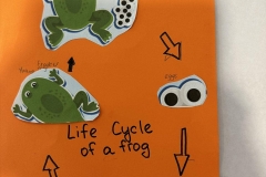 402100680_864588215670382_5831605901818524883_n