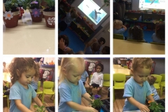 402033446_860652152730655_8111071762947947715_n