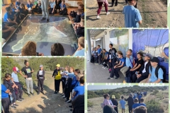 Environmental-Day-10