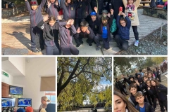 Environmental-Day-11