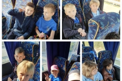 Environmental-Day-12