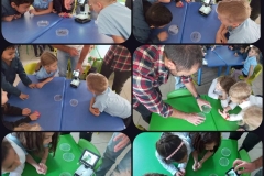 Environmental-Day-14