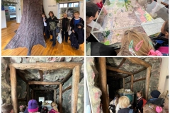 Environmental-Day-16