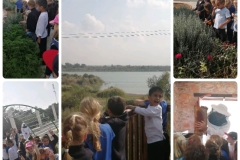 Environmental-Day-17