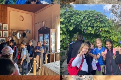 Environmental-Day-19