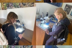 Environmental-Day-21