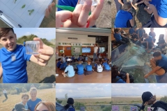 Environmental-Day-22