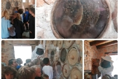 Environmental-Day-23