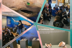 Environmental-Day-25