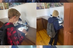 Environmental-Day-27