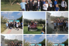 Environmental-Day-28