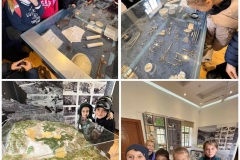 Environmental-Day-31