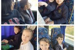 Environmental-Day-36