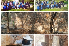 Environmental-Day-37