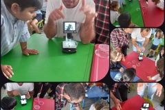 Environmental-Day-38