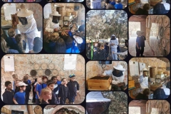 Environmental-Day-39