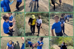 Environmental-Day-40