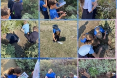 Environmental-Day-42