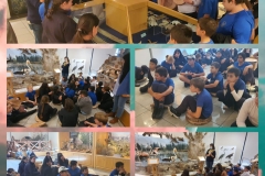 Environmental-Day-44