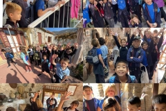 Environmental-Day-47