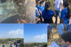 Environmental-Day-49