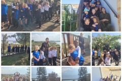 Environmental-Day-50